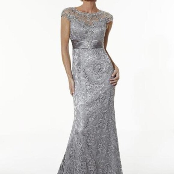 NWT Christina Wu  Elegance 20176 Mother of the Bride Dress Platinum Size 12 - Picture 1 of 8